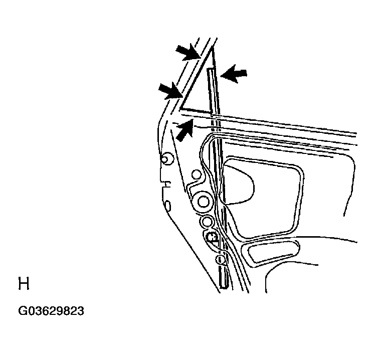 G03629823