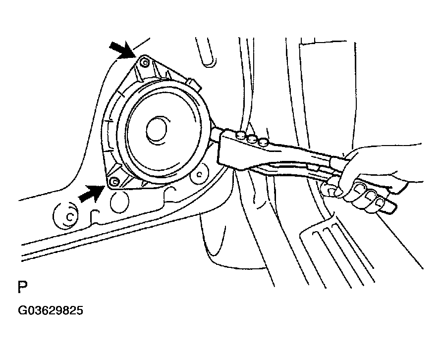 G03629825