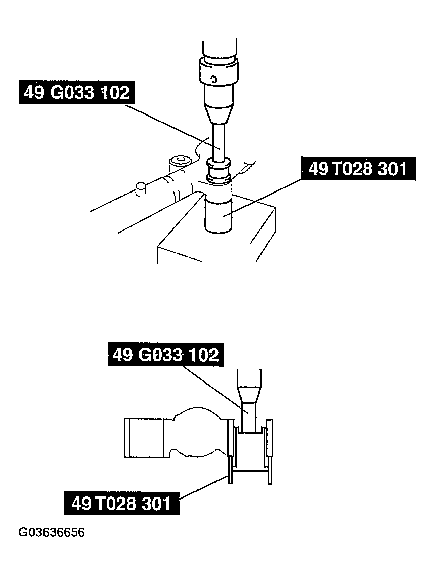 G03636656