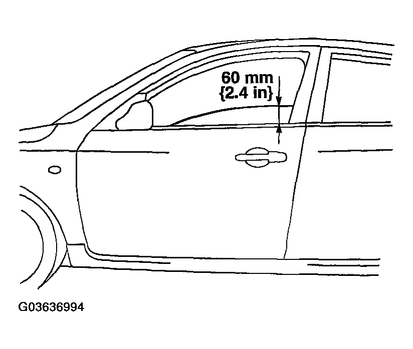 G03636994
