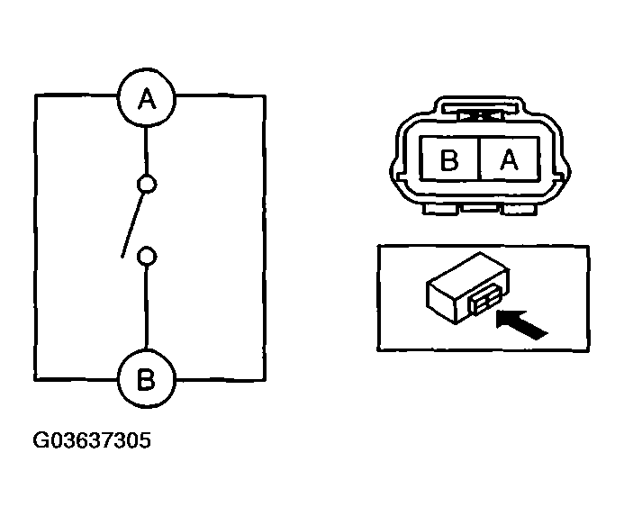 G03637305