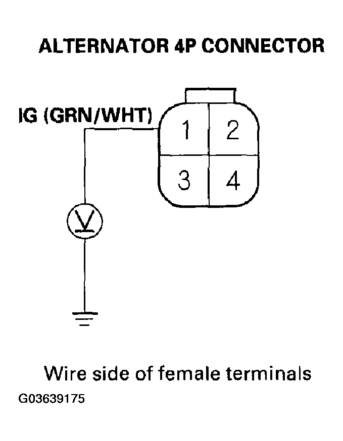 G03639175