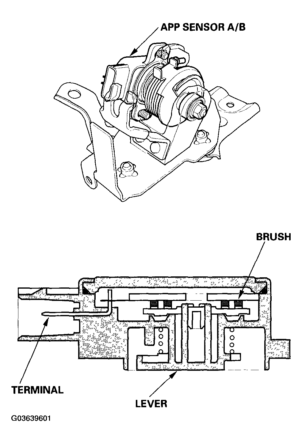 G03639601