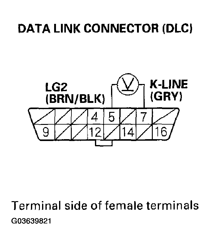 G03639821