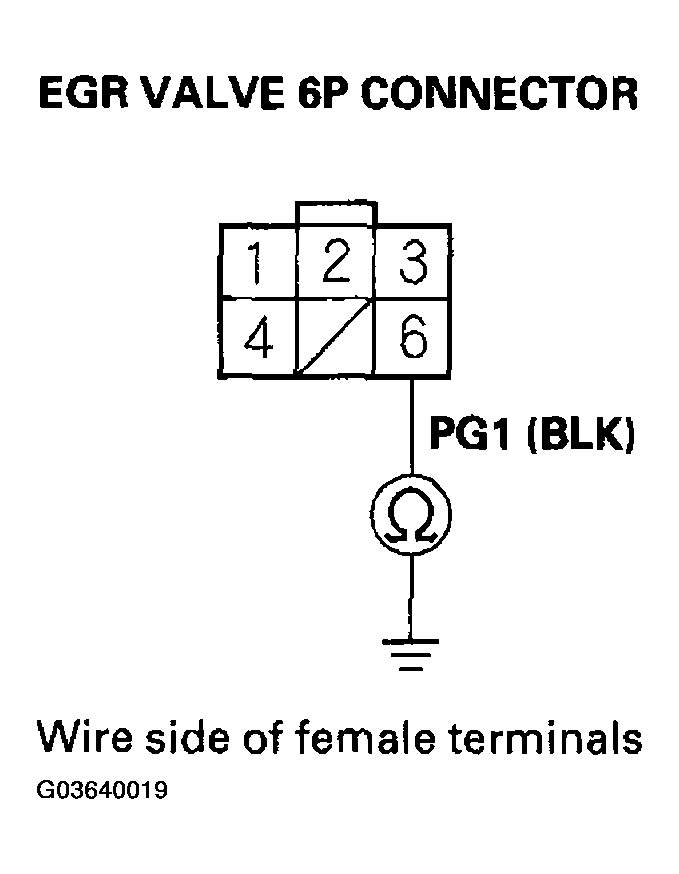 G03640019