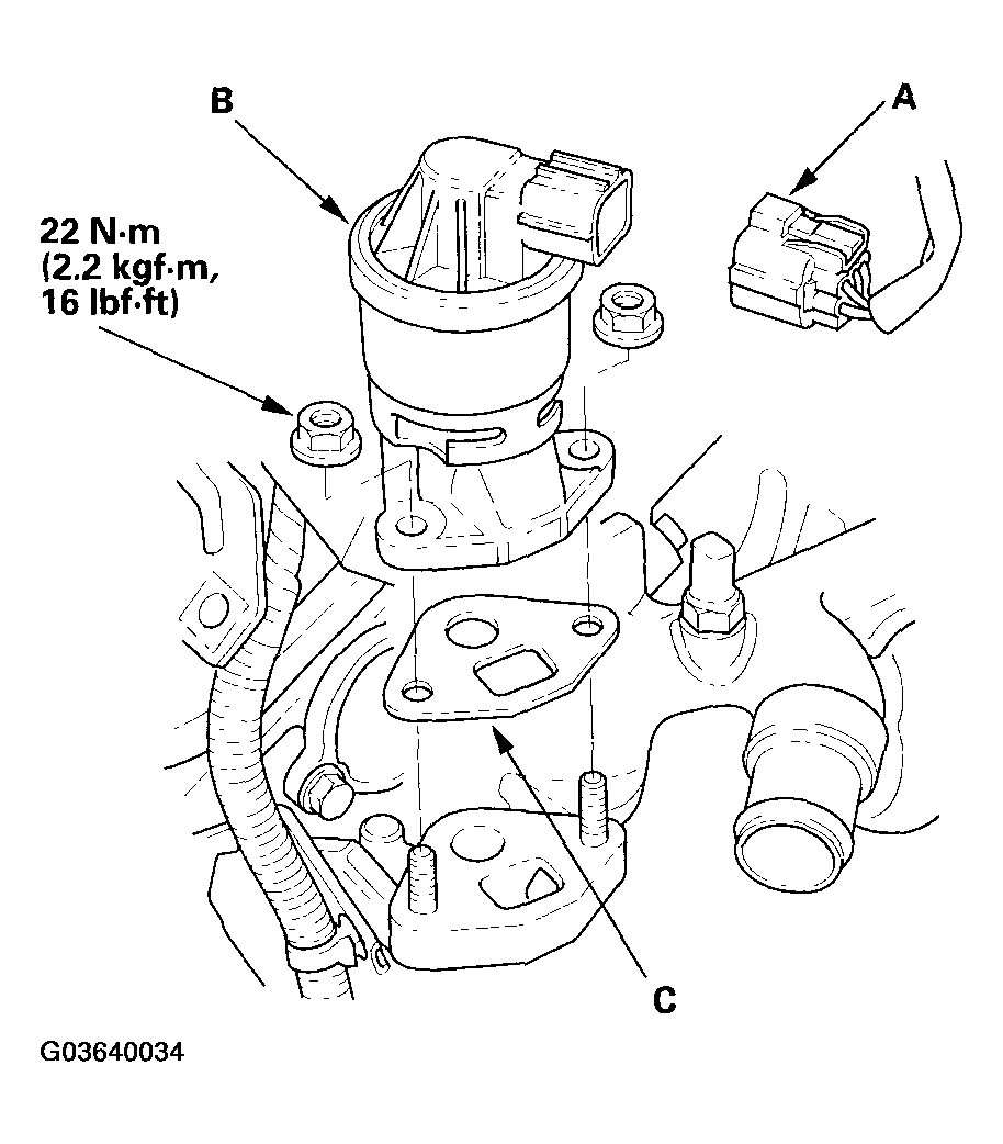 G03640034