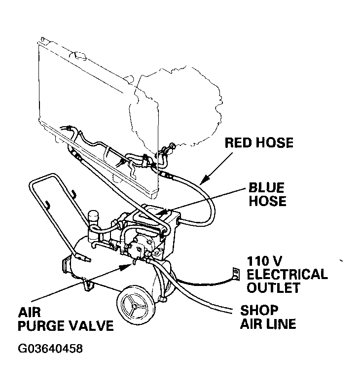 G03640458