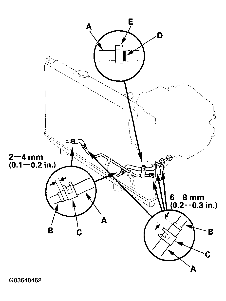 G03640462