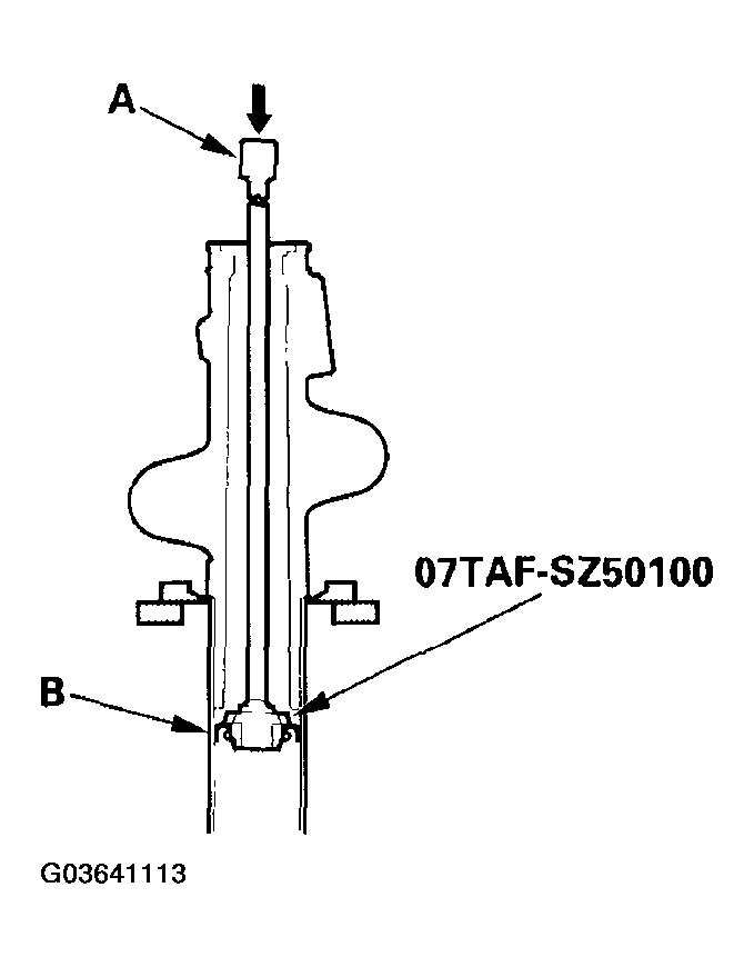 G03641113