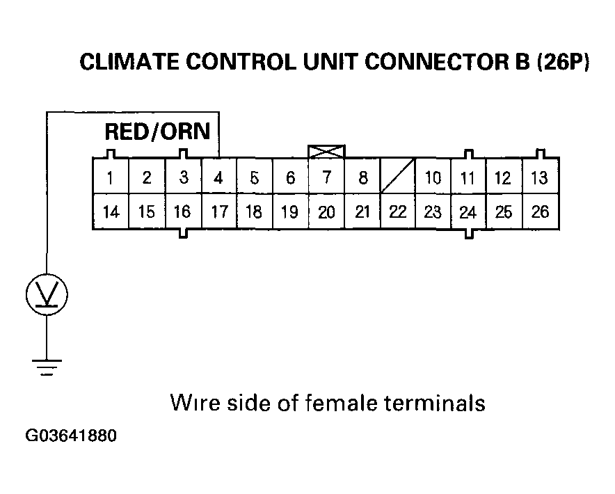 G03641880