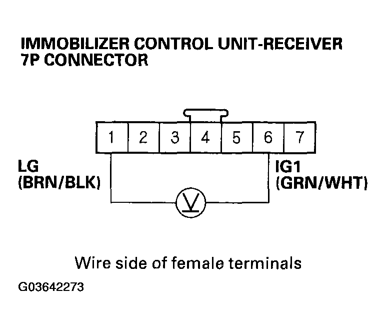 G03642273