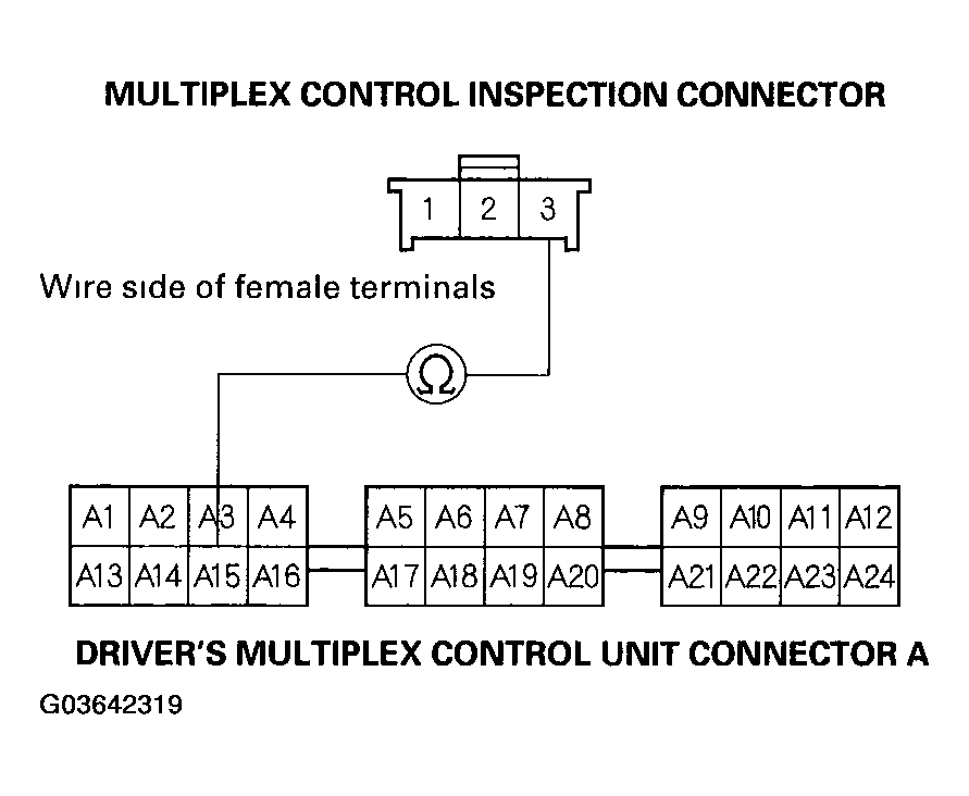 G03642319