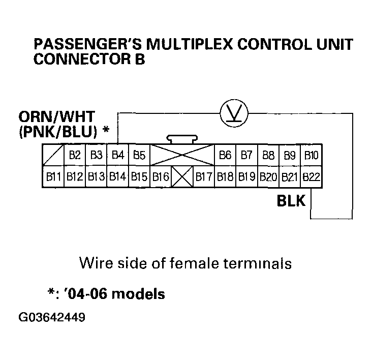 G03642449