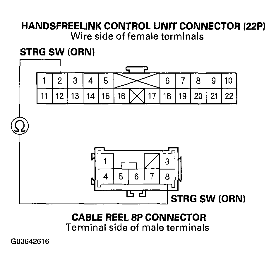 G03642616