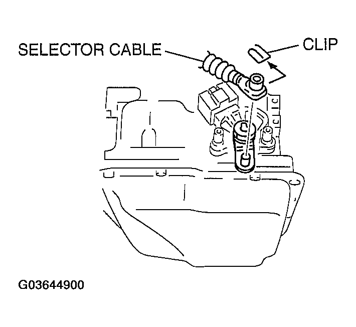 G03644900