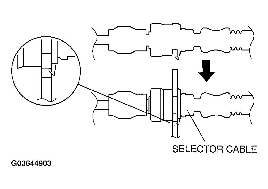 G03644903