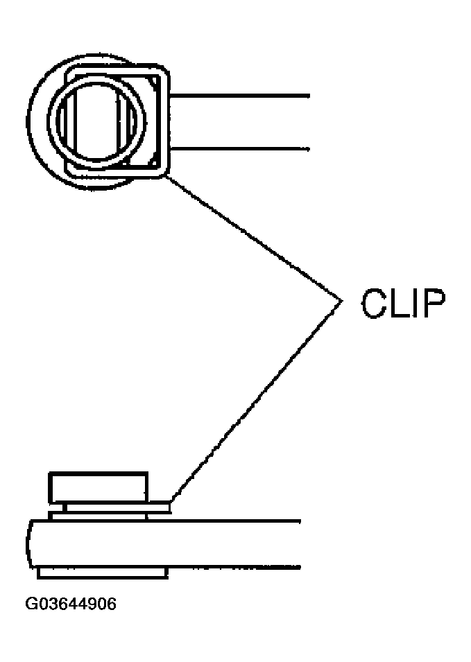 G03644906