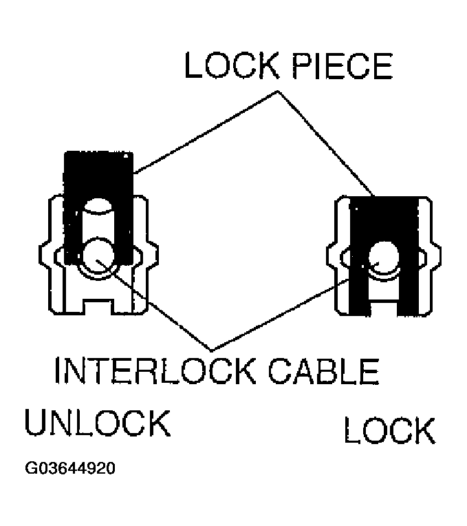 G03644920