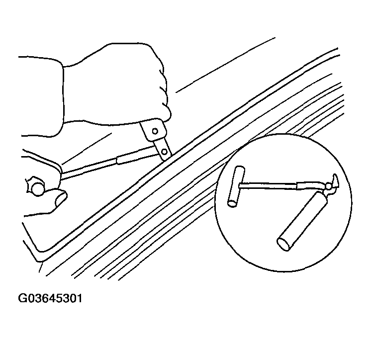 G03645301
