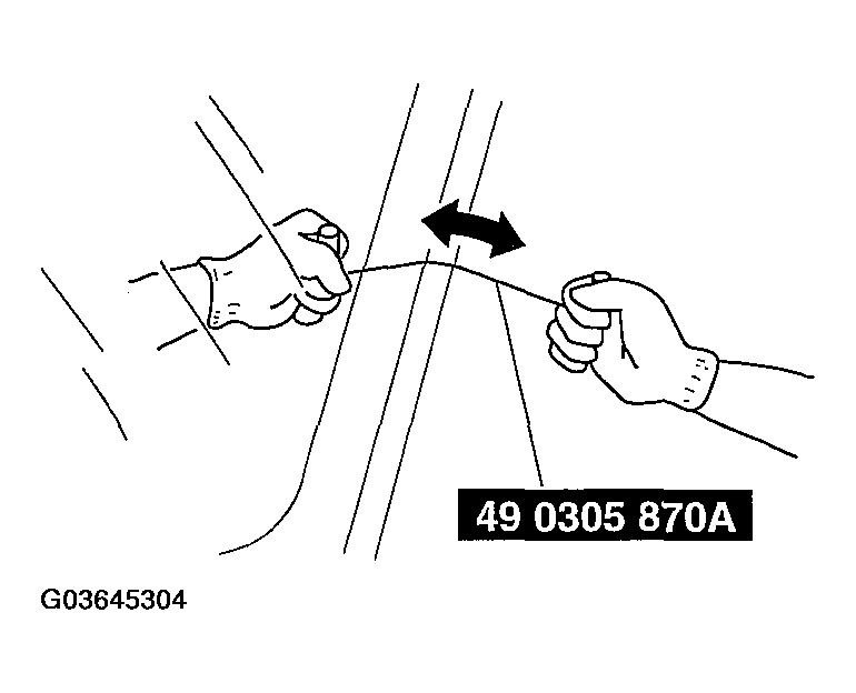 G03645304