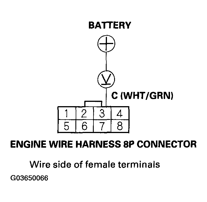 G03650066