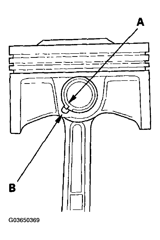 G03650369
