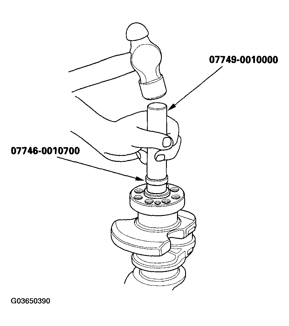 G03650390