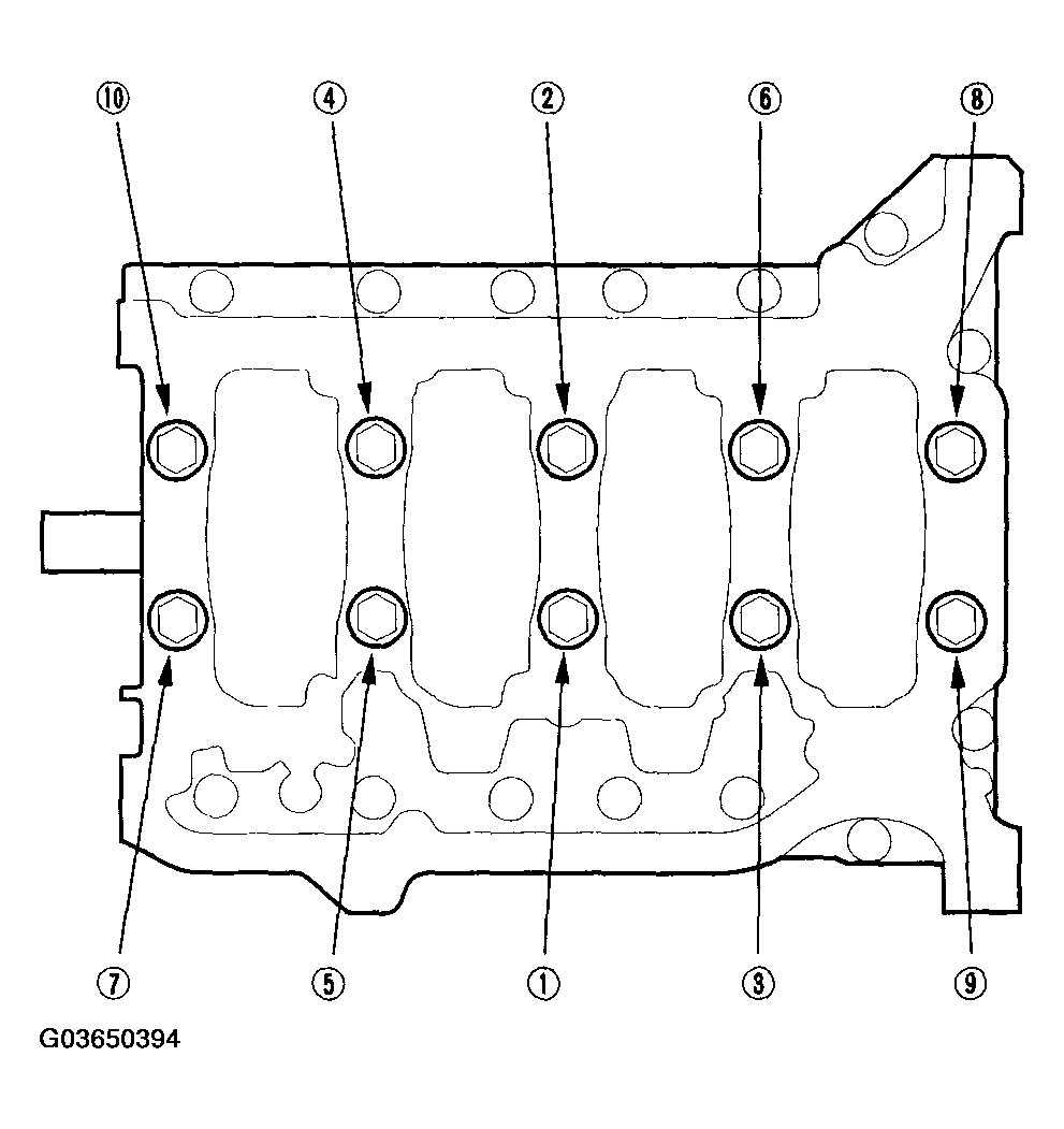 G03650394