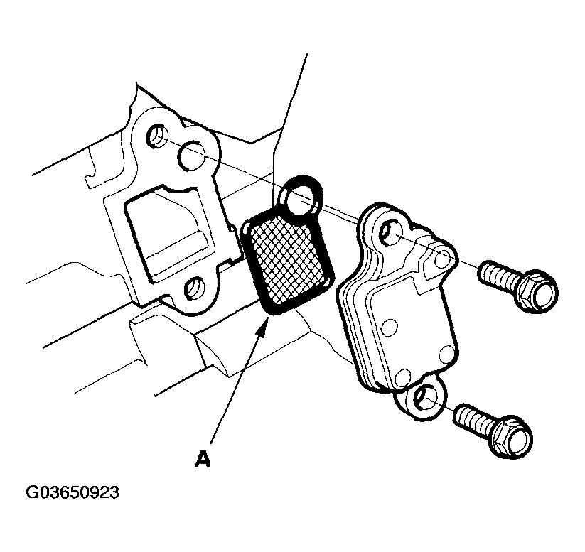 G03650923