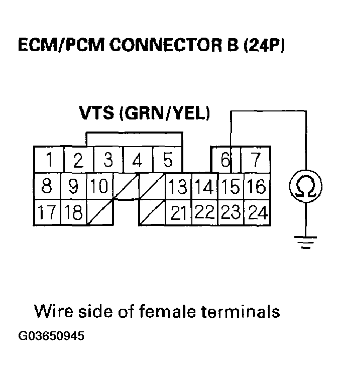 G03650945