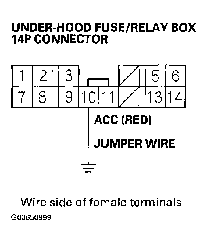 G03650999
