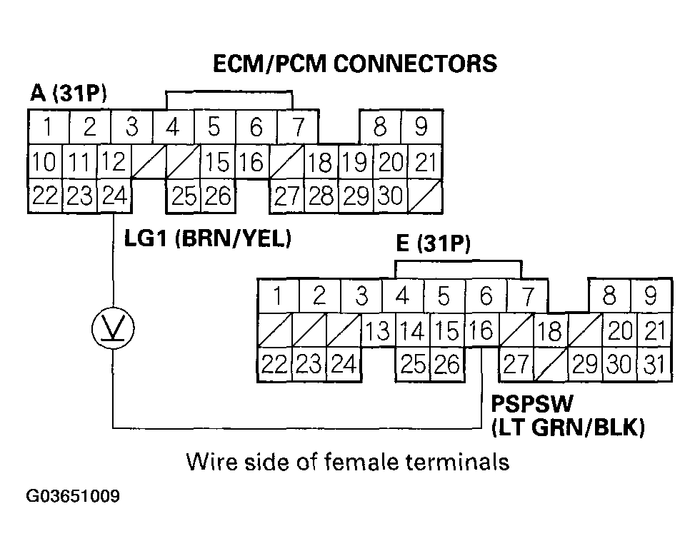 G03651009