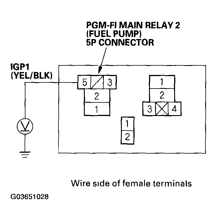 G03651028