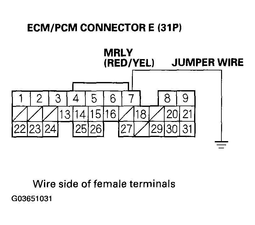 G03651031