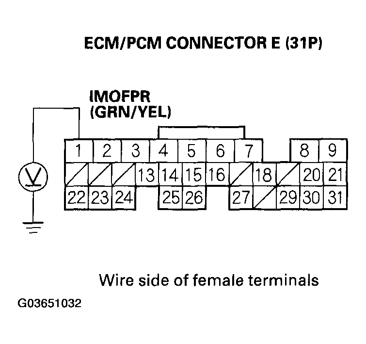 G03651032