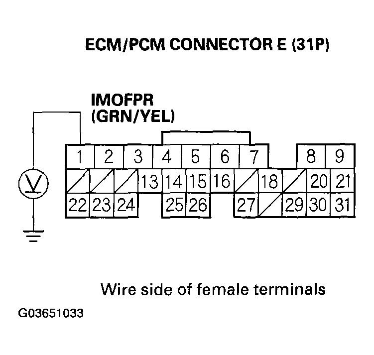 G03651033