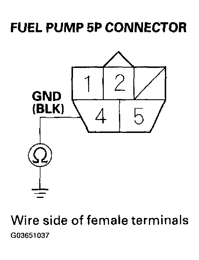G03651037