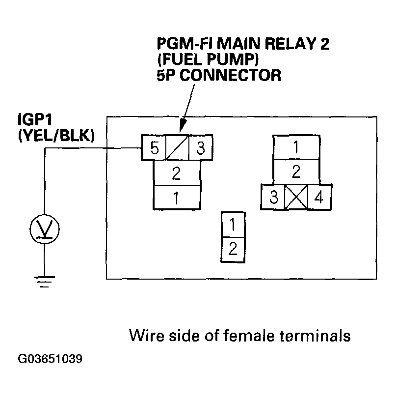 G03651039