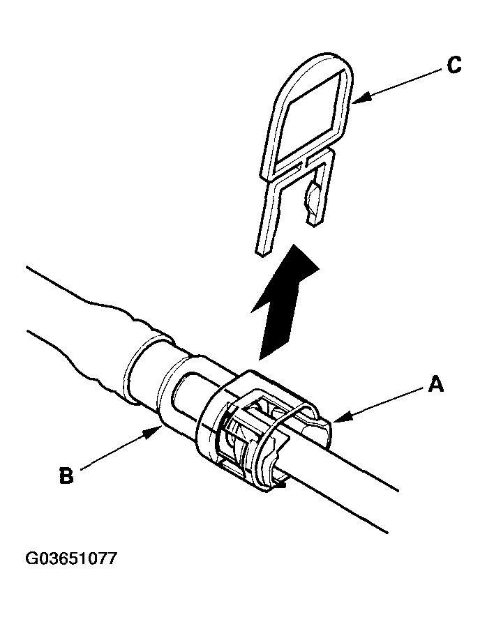G03651077
