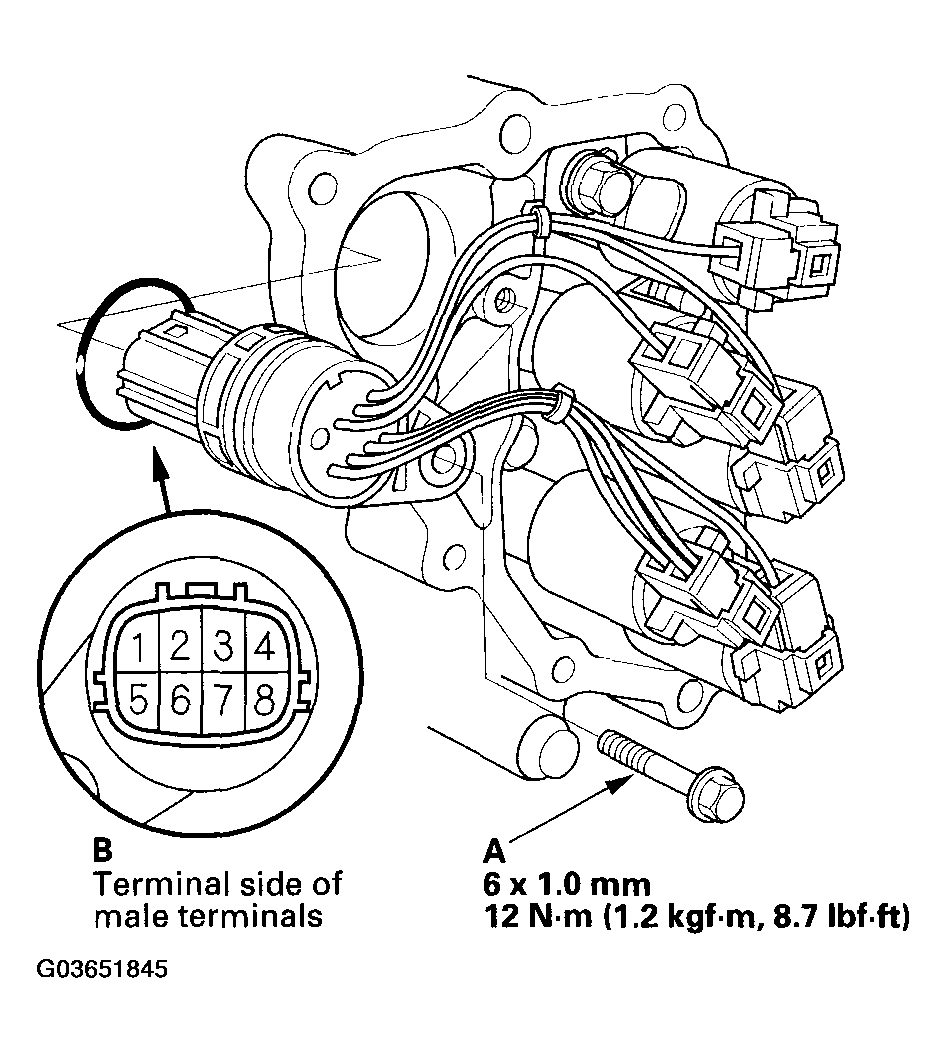 G03651845