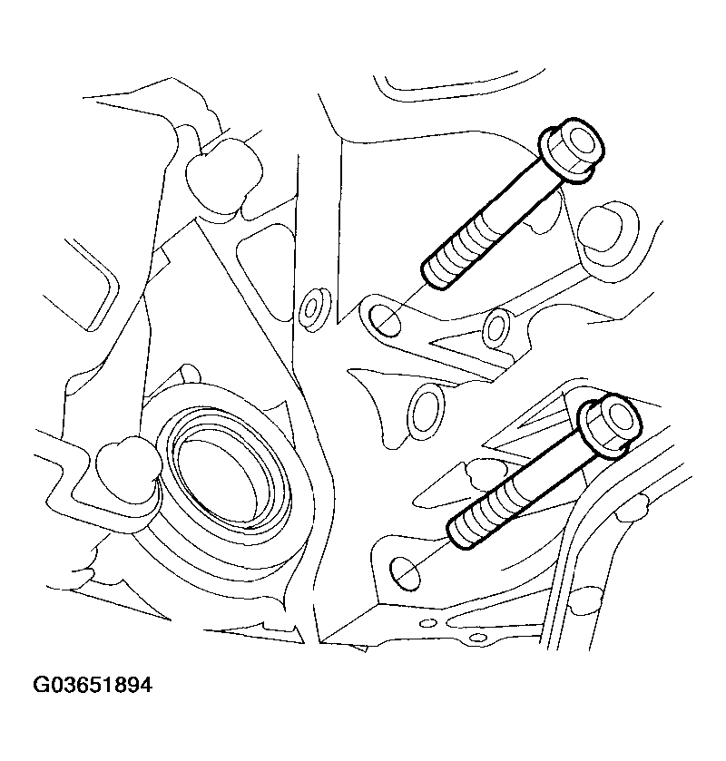 G03651894