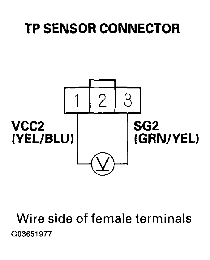 G03651977