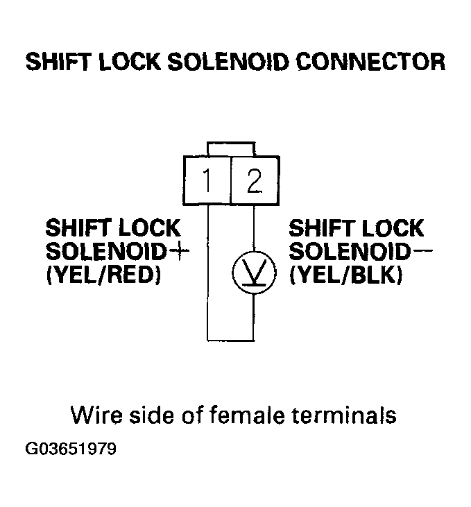 G03651979
