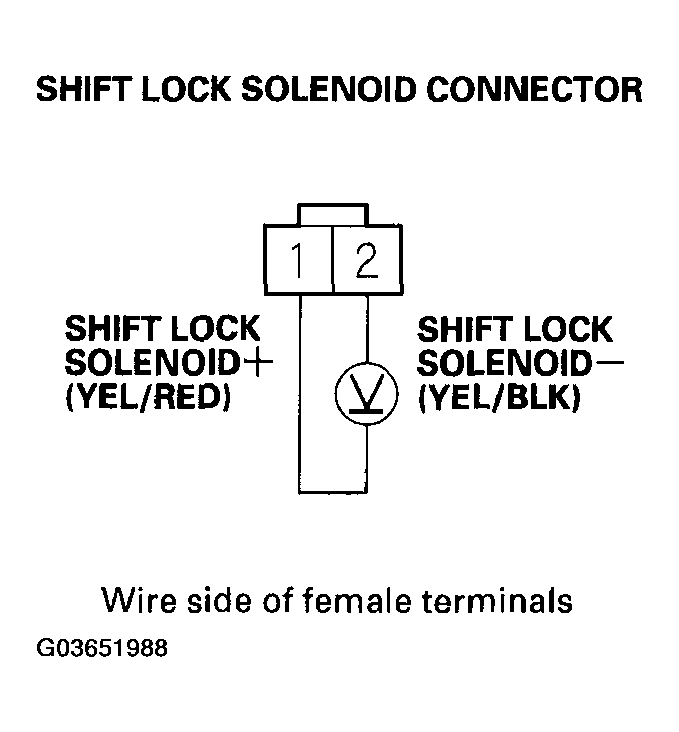 G03651988