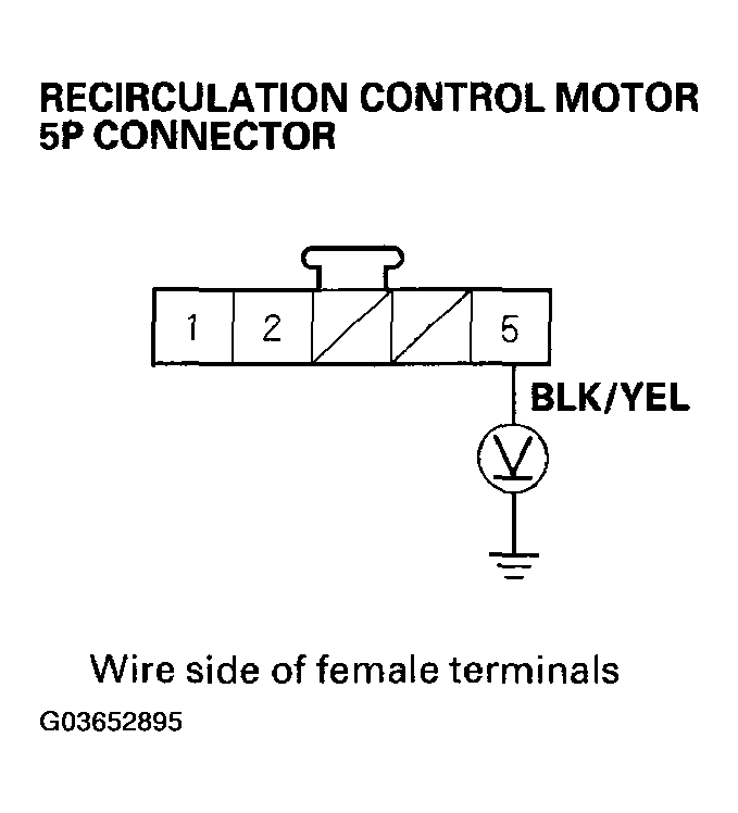 G03652895