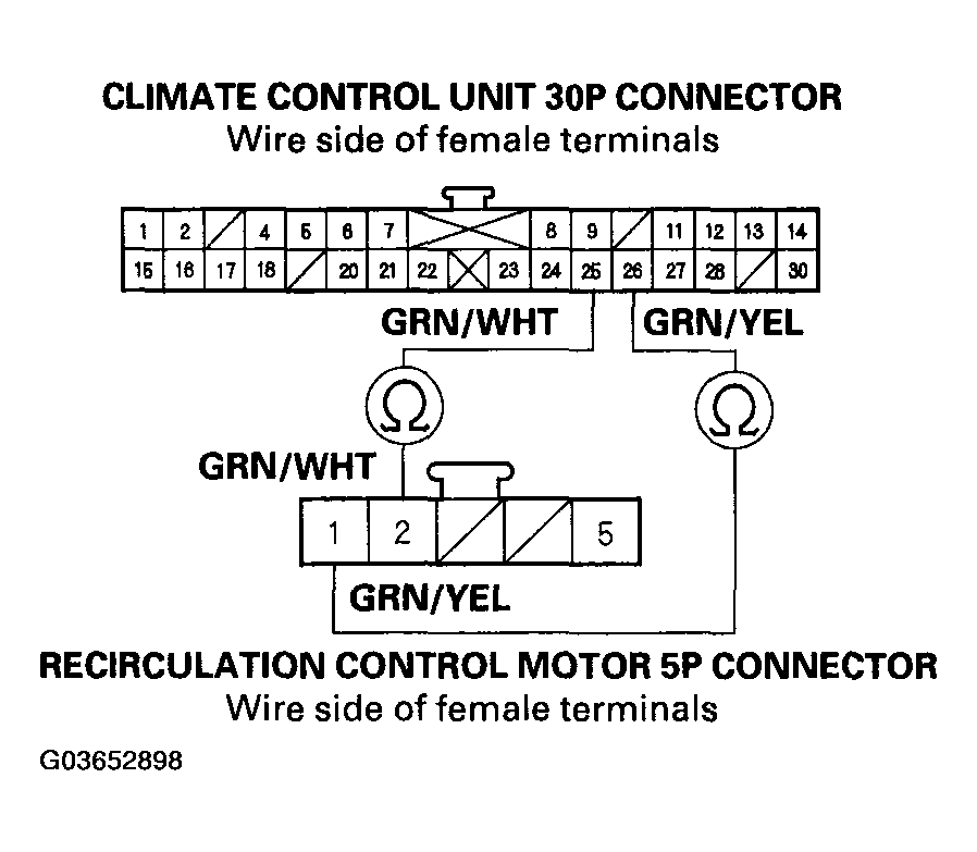 G03652898