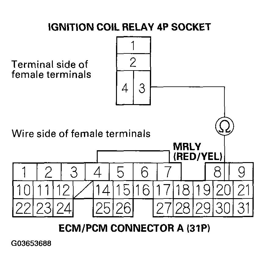 G03653688