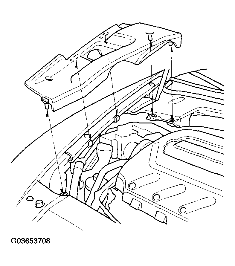 G03653708