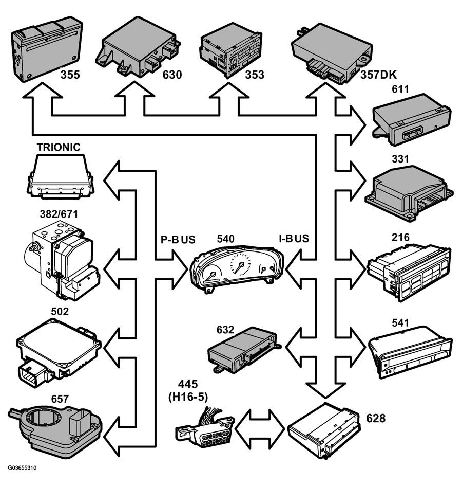 G03655310