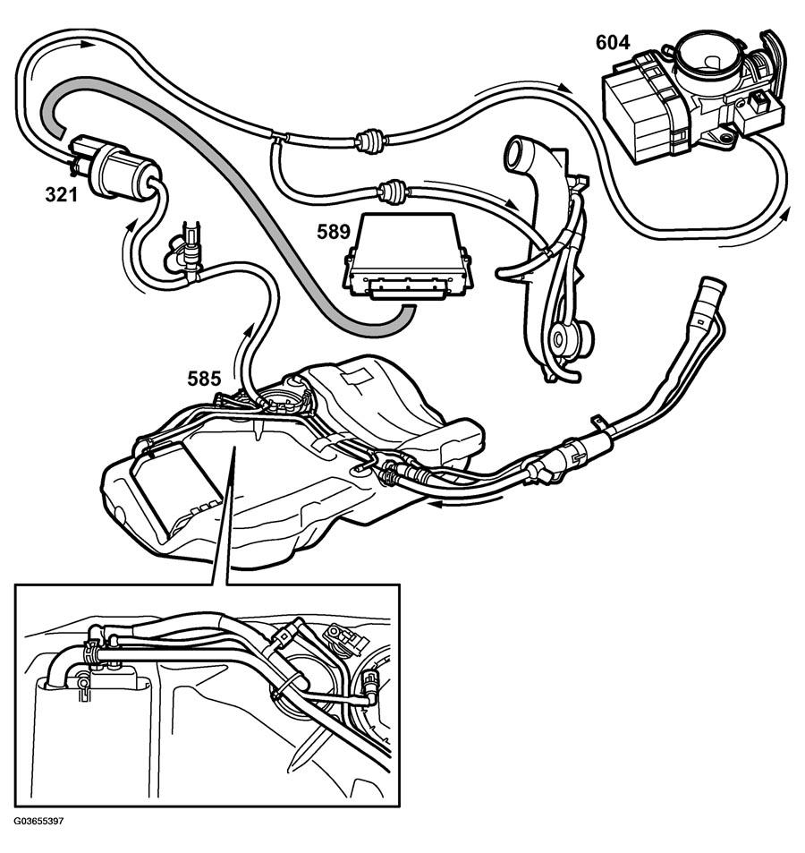 G03655397